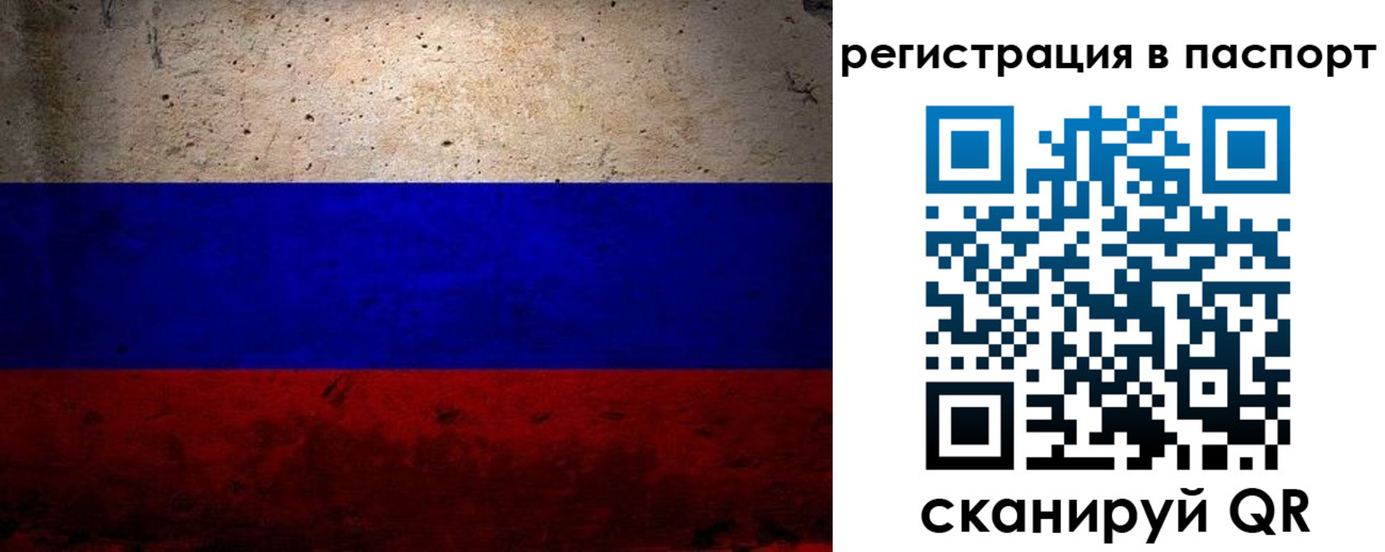 где прописаться в Калуге